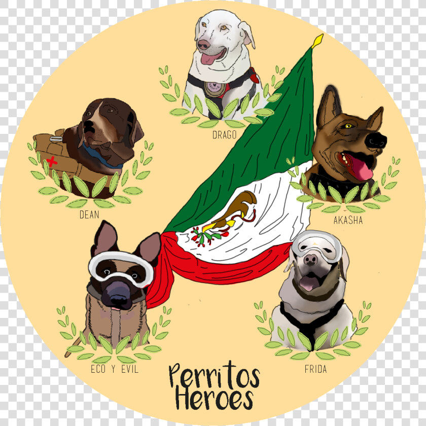 Perros Rescatistas 19 De Septiembre  HD Png DownloadTransparent PNG