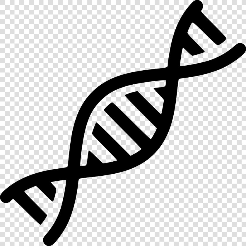 Dna Png   Dna Icon Png  Transparent PngTransparent PNG