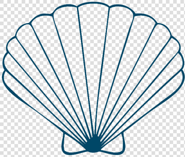 Transparent Sea Shells Png   Draw A Seashell  Png DownloadTransparent PNG