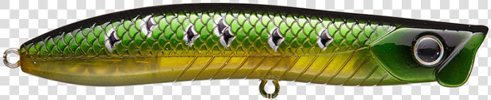 Sand Eel  HD Png DownloadTransparent PNG