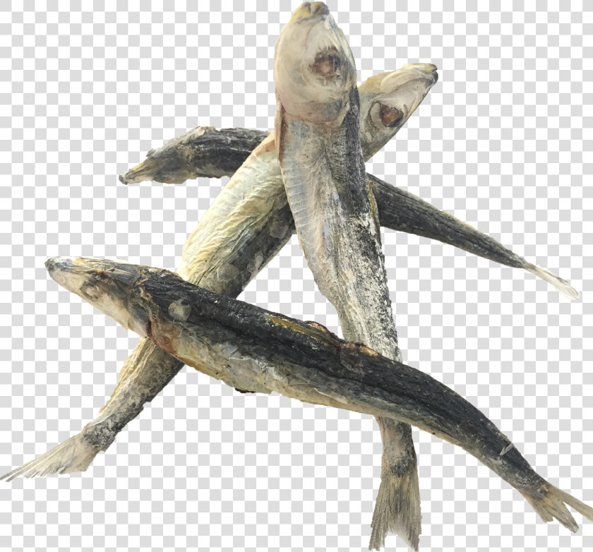 Frozen Dried Sardine  HD Png DownloadTransparent PNG