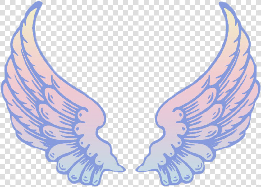  wings  fly  free  freedom  blue  purple  tumblr  sky   Angel Wings Clipart Png  Transparent PngTransparent PNG