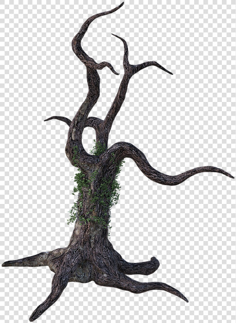 Dead Tree  Bark  Ivy  Limbs  Wood  Forest  Brown  Trunk   Illustration  HD Png DownloadTransparent PNG