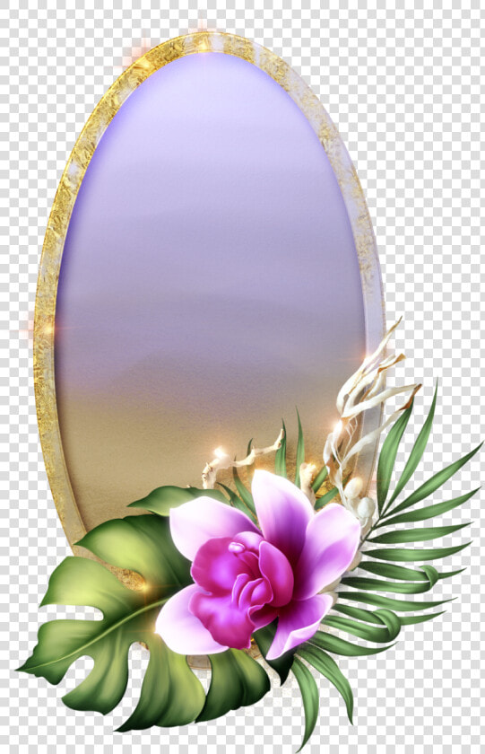 Back To Tropics Mom   Cattleya  HD Png DownloadTransparent PNG