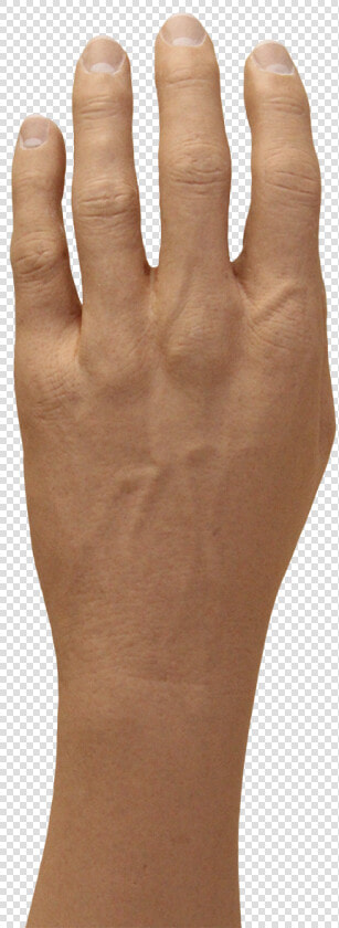 Gesture  HD Png DownloadTransparent PNG