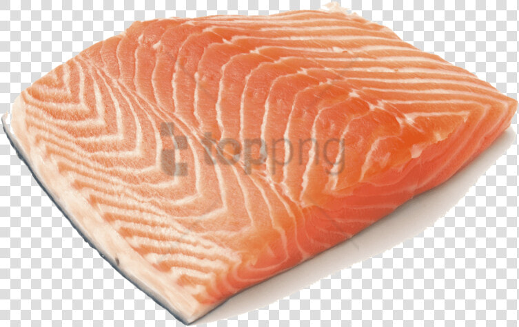 Transparent Salmon Clipart Black And White   Salmon With No Background  HD Png DownloadTransparent PNG