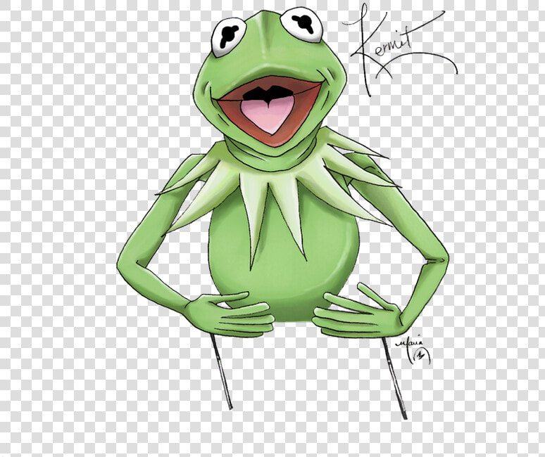 Bullfrog  HD Png DownloadTransparent PNG