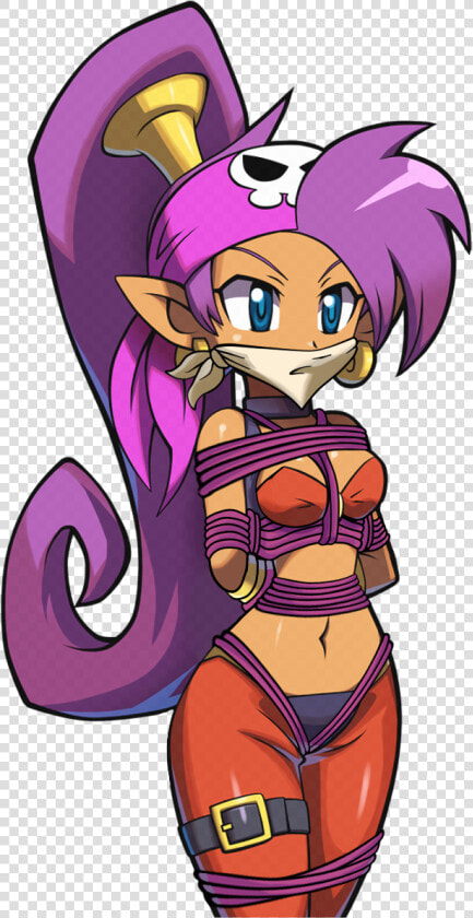 View Samegoogleiqdbsaucenao Pirate Shantae     Png   Shantae Pirate  39 s Curse Portraits  Transparent PngTransparent PNG