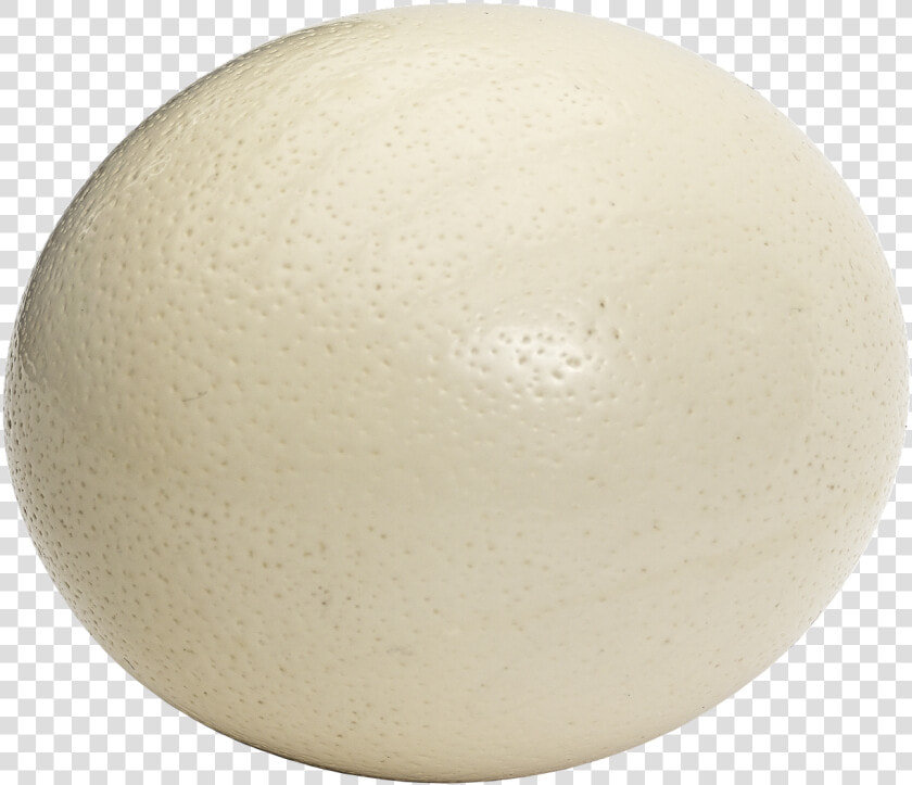 Ostrich Egg Egg Large Egg Free Photo   Ostrich Egg Png  Transparent PngTransparent PNG