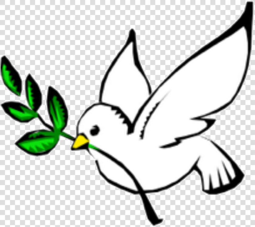 Columbidae Doves As Symbols Peace Olive Branch Clip  HD Png DownloadTransparent PNG