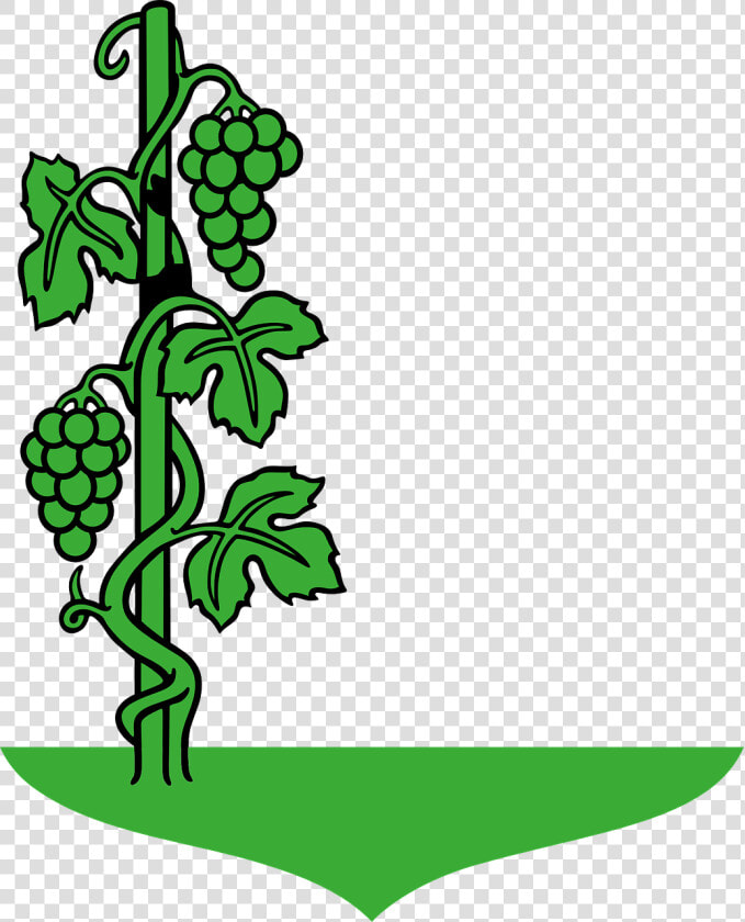 Transparent Vineyard Vines Png   Draw A Grape Tree  Png DownloadTransparent PNG