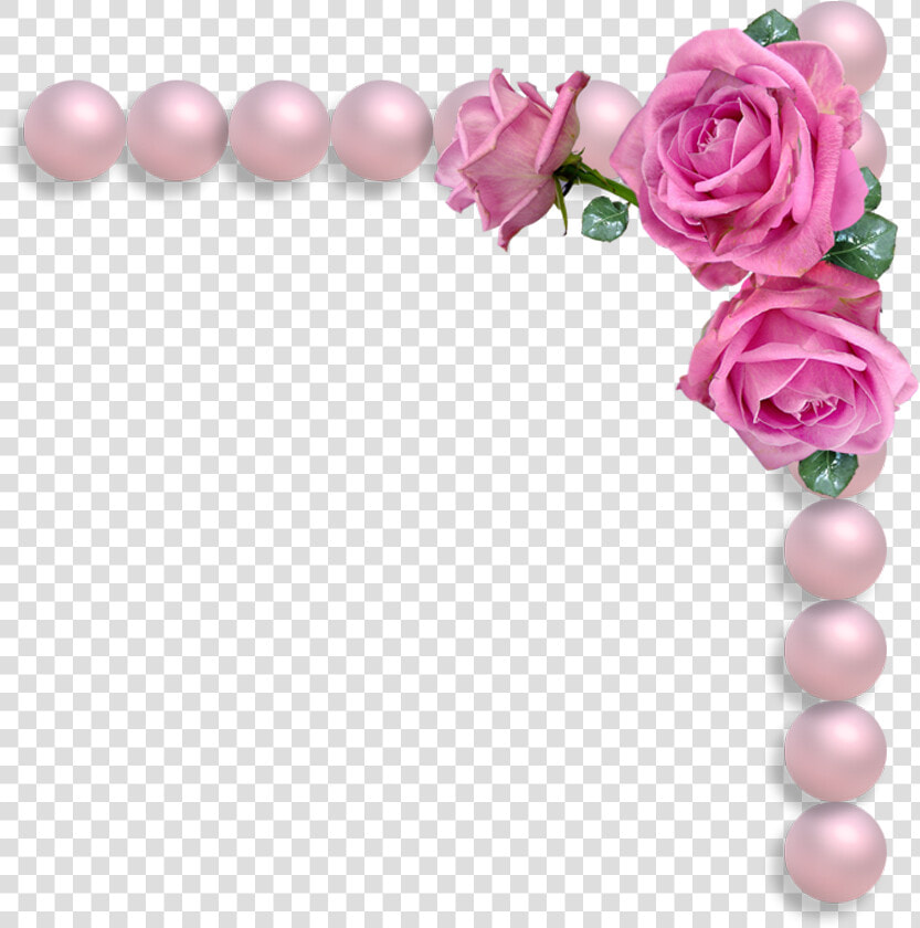 Free String Of Pearls Png   Pink Rose And Pearls  Transparent PngTransparent PNG