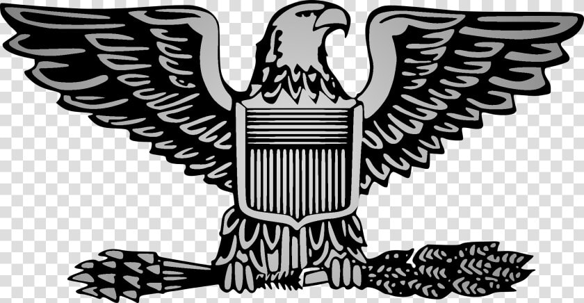 Eagle Clipart Army   Air Force Colonel Rank  HD Png DownloadTransparent PNG