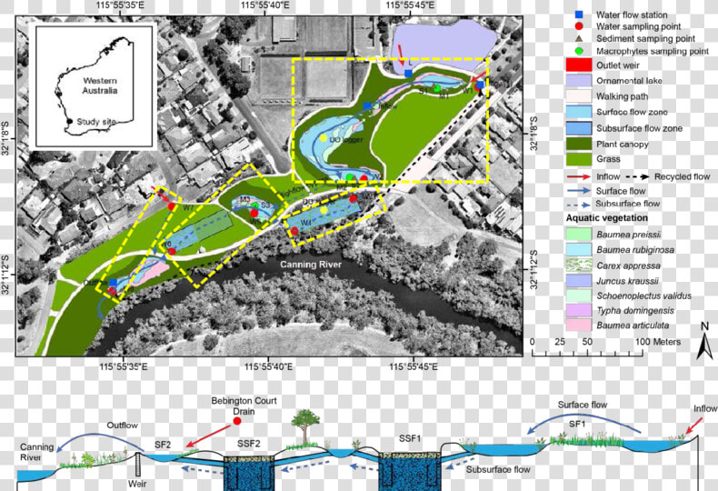 Wharf Street Wetland  HD Png DownloadTransparent PNG