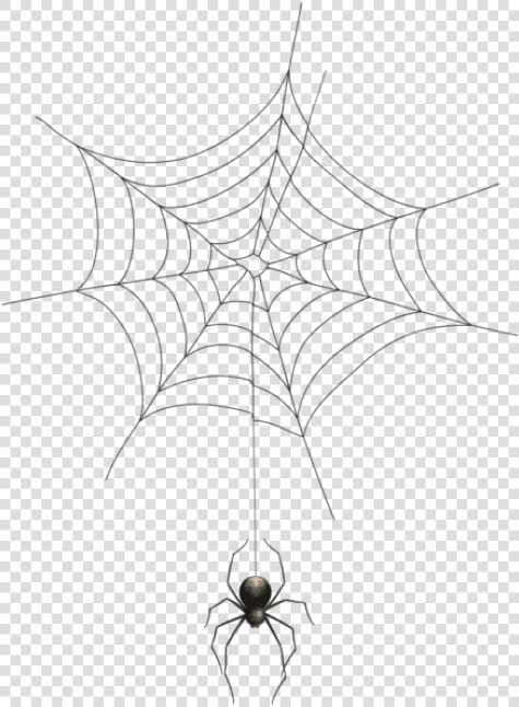 Spider Web Logo No Background   Transparent Background Spider Web Png  Png DownloadTransparent PNG