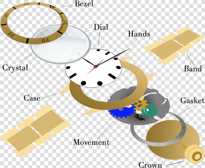 Image Showcasing Various Watch Repair Parts   Parts Of Watch Case  HD Png DownloadTransparent PNG