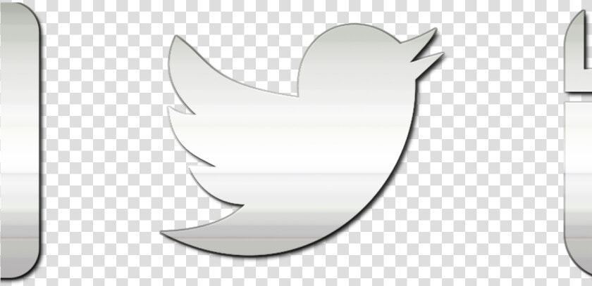 Transparent Twitter Clipart   Twitter Logo Mirrored  HD Png DownloadTransparent PNG