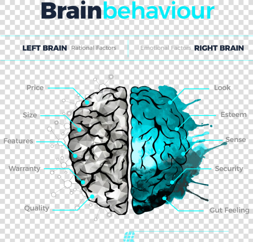 Brain Behavior   Brain Drawings Half And Half  HD Png DownloadTransparent PNG