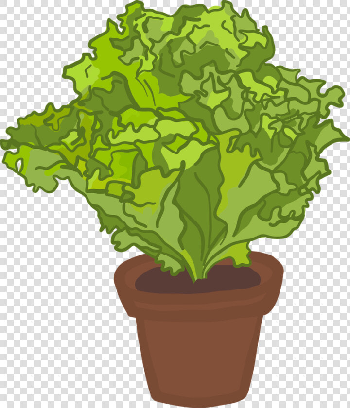 Flowerpot  HD Png DownloadTransparent PNG