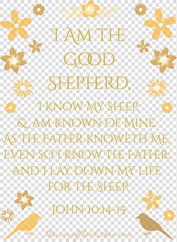 Verse Scripture Quote Transparent   Transparent Background Transparent Bible Verse Png  Png DownloadTransparent PNG