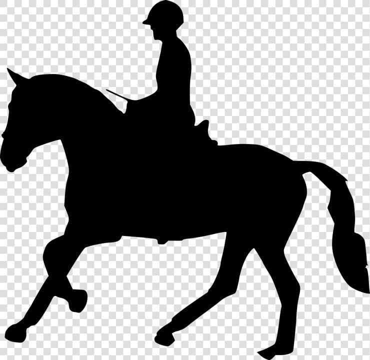 Silhouette  Horse Racing  Horse Head  Horse Logo   Horse Riding Logo Png  Transparent PngTransparent PNG