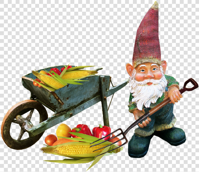 Gnome Working Vegetables Free Photo   Gnomes Png  Transparent PngTransparent PNG