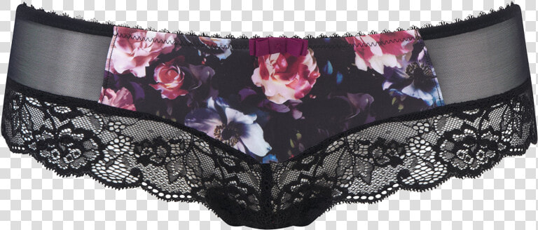 Panties  HD Png DownloadTransparent PNG