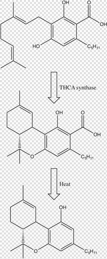 Precursors To Thc  HD Png DownloadTransparent PNG