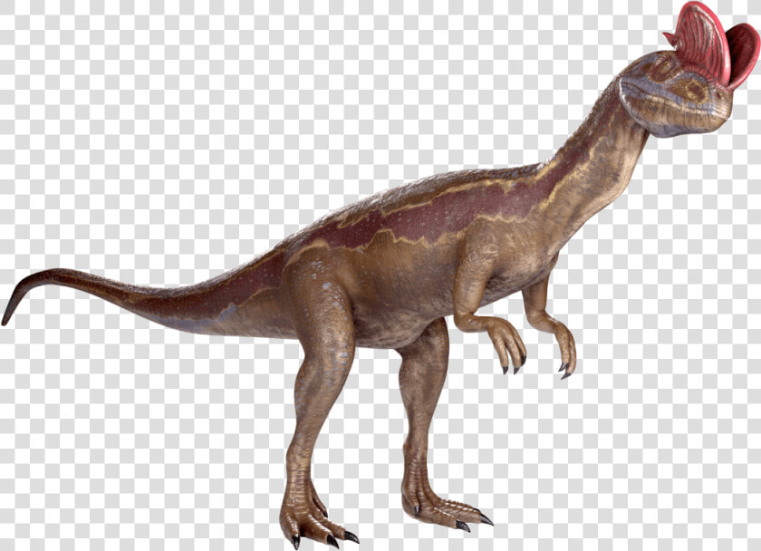 Panacea   Velociraptor  HD Png DownloadTransparent PNG