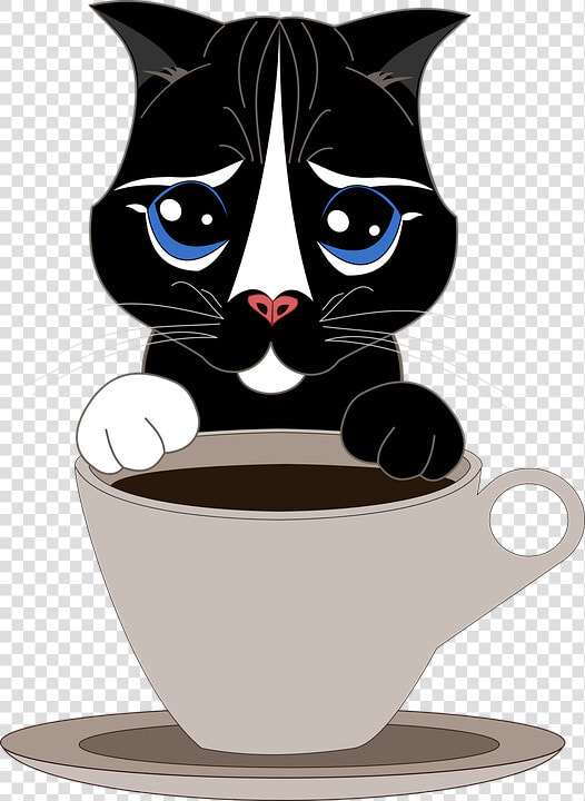 Cat  Pet  Cup  Coffee  Tea  Kitten  Tender  Puppy   Cafe Gato Png  Transparent PngTransparent PNG