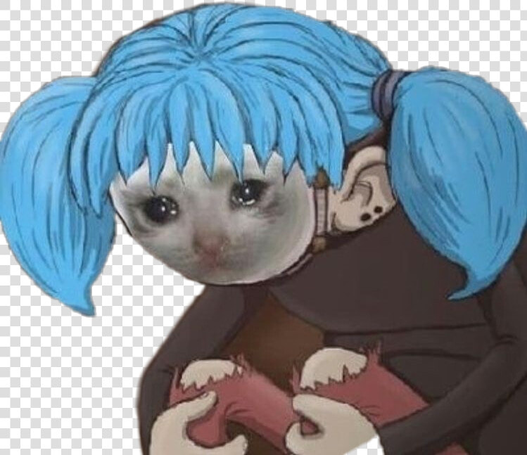  sallyface  sal  sticker  cat  sad  meme   Matching Icons Best Friends  HD Png DownloadTransparent PNG