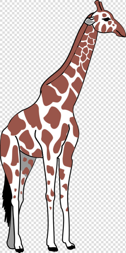 Giraffe Svg Clip Arts   Tall And Short Clipart  HD Png DownloadTransparent PNG