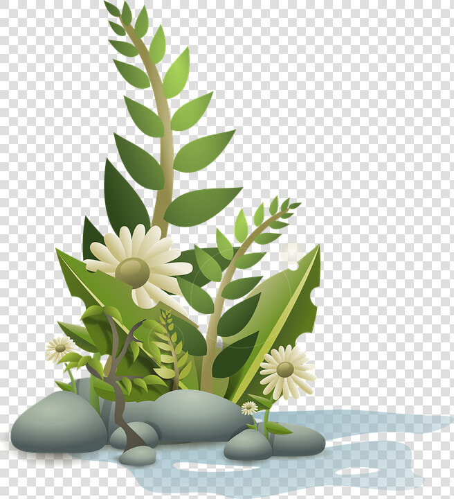 Plants  Flower  Flowers  Cartoon  Free  Plant  Tropical   Plants Clipart  HD Png DownloadTransparent PNG