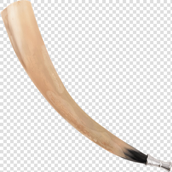 Ivory  HD Png DownloadTransparent PNG