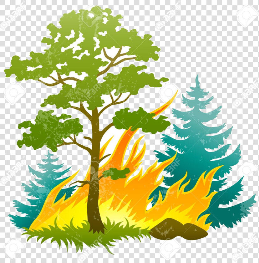 Safari Trees Jungle Encode Clipart To Base Free And   Forest Fire Clipart  HD Png DownloadTransparent PNG