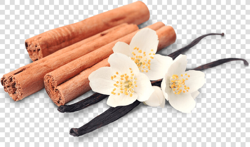 Cinnamon Vanilla Png   Vanilla Cinnamon Png Transparente  Png DownloadTransparent PNG