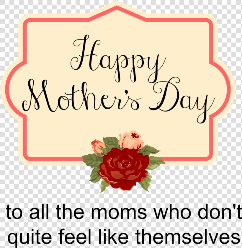 Happy Mother S Day To All The Moms Who Don T Quite   Garden Roses  HD Png DownloadTransparent PNG