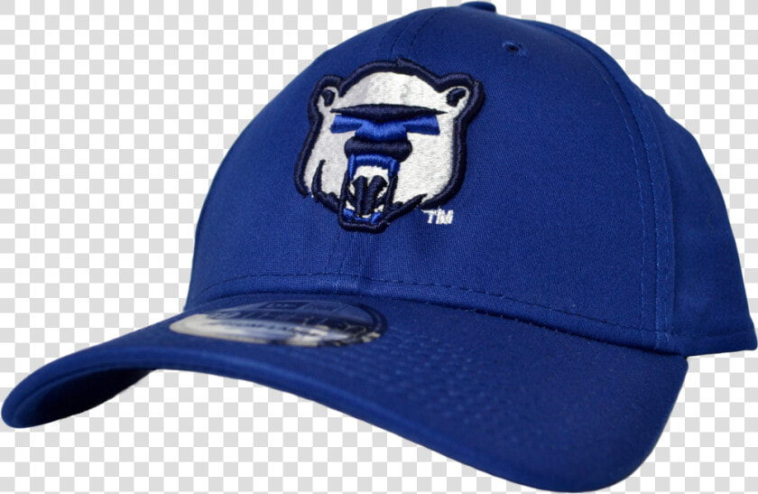 Polar Bear Ne Fitted   Baseball Cap  HD Png DownloadTransparent PNG