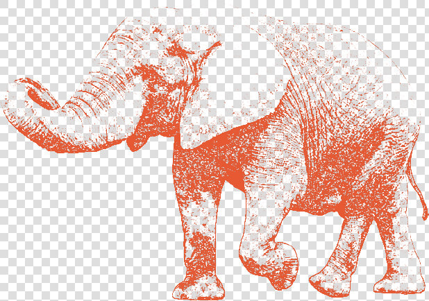 Elephant Walking With Its Trunk Up   Indian Elephant  HD Png DownloadTransparent PNG