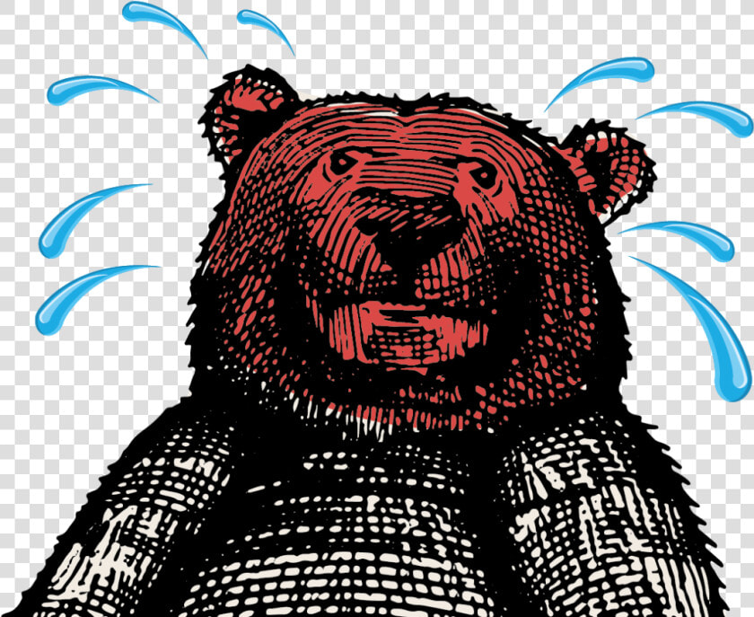 Transparent Smokey The Bear Png   American Black Bear  Png DownloadTransparent PNG