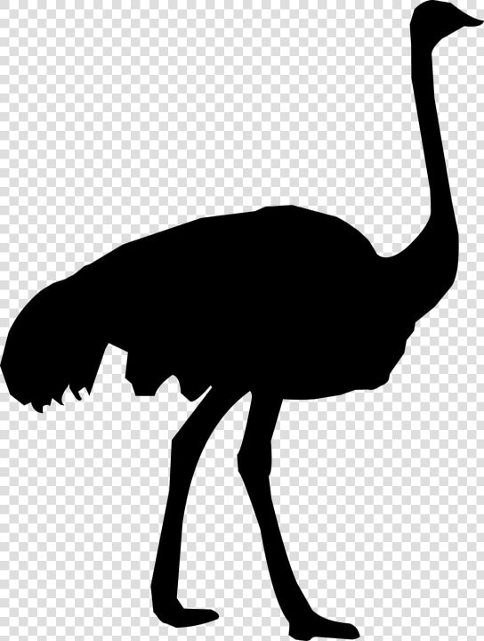 Silhouette  Ostrich  Zoo  Feather  Fauna  Fowl   Ostrich Silhouette Png  Transparent PngTransparent PNG