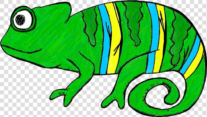 Chameleon Clip Art Clipart Free Clipart   Clip Art Rainforest Animals  HD Png DownloadTransparent PNG