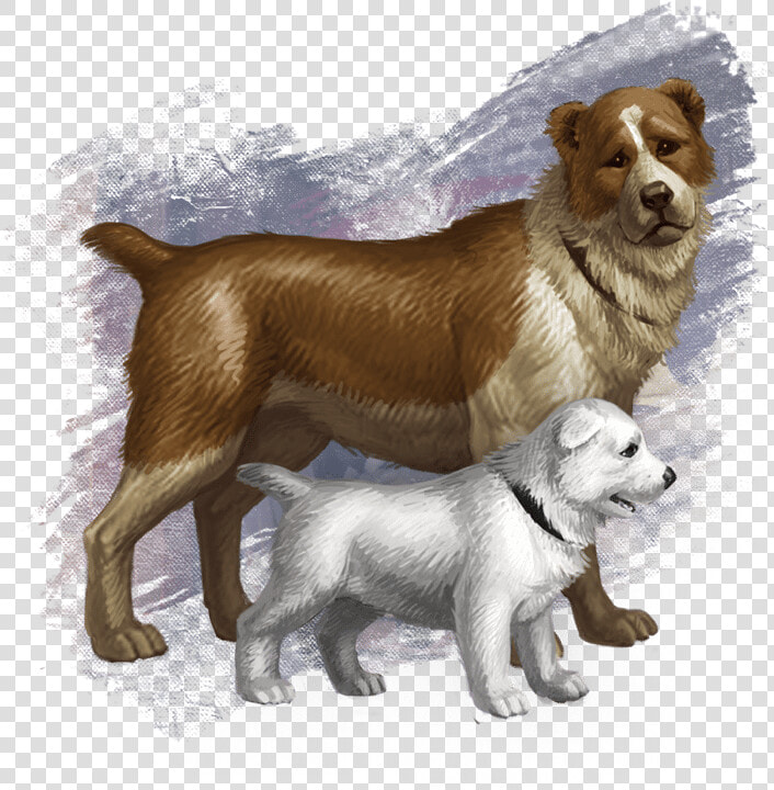 Companion Dog  HD Png DownloadTransparent PNG