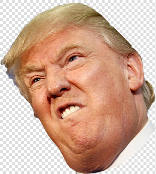 Angry Side Face Trump   Donald Trump Face Transparent  HD Png DownloadTransparent PNG