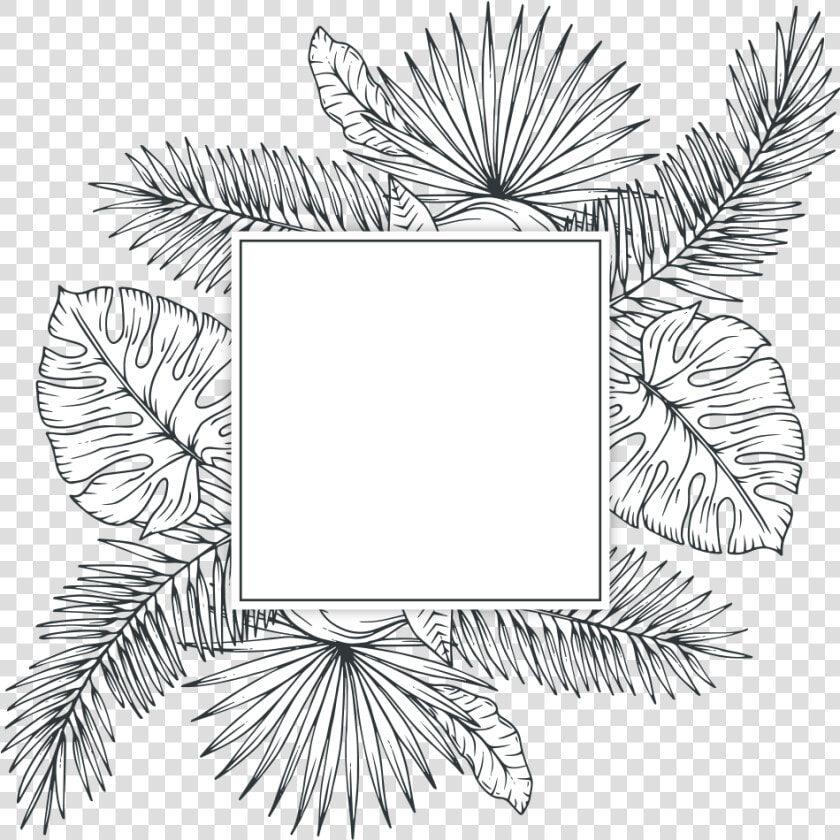  freetoedit  overlay  blackandwhite  template  handdrawn   Tropical Leaf Png Black And White  Transparent PngTransparent PNG