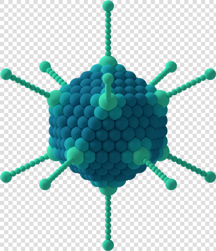 Adenovirus 3d Schematic   Virus Adenovirus  HD Png DownloadTransparent PNG