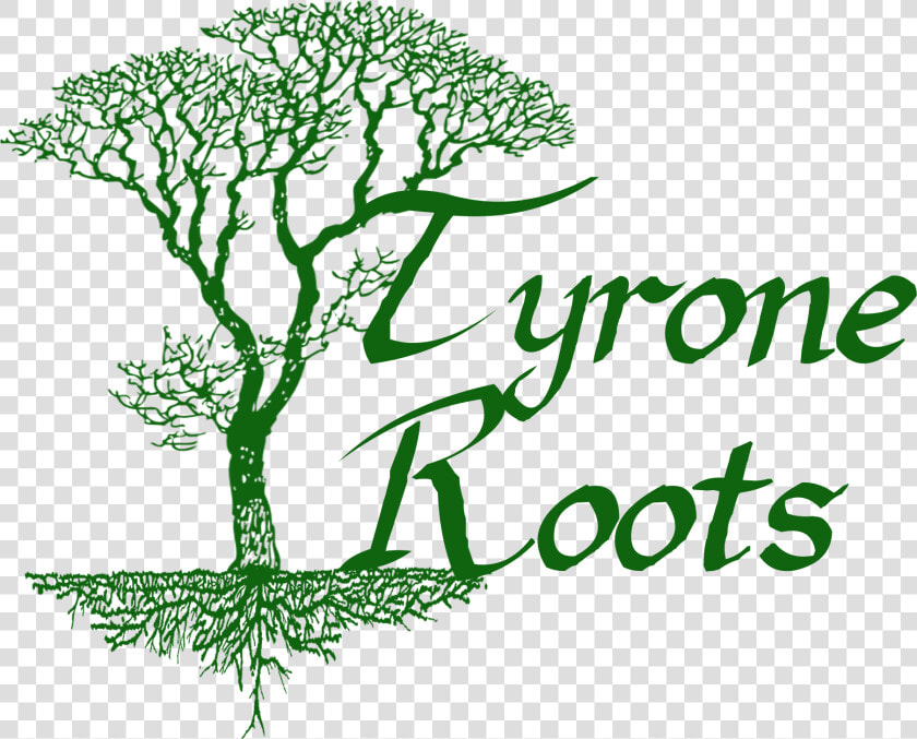 Tyrone Roots   Illustration  HD Png DownloadTransparent PNG