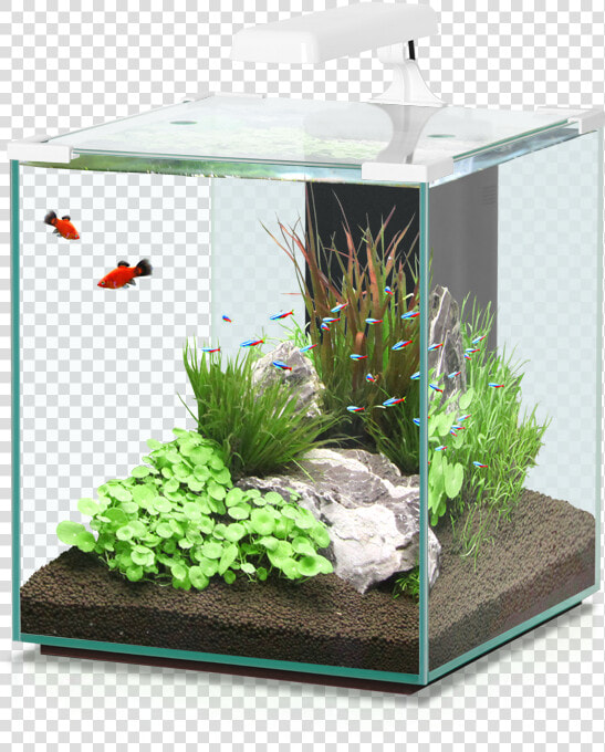 Nano Cubic   Aquatlantis Nano Cubic 40  HD Png DownloadTransparent PNG