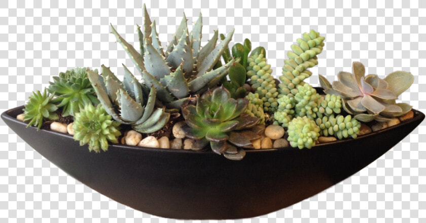 Flowerpot  HD Png DownloadTransparent PNG