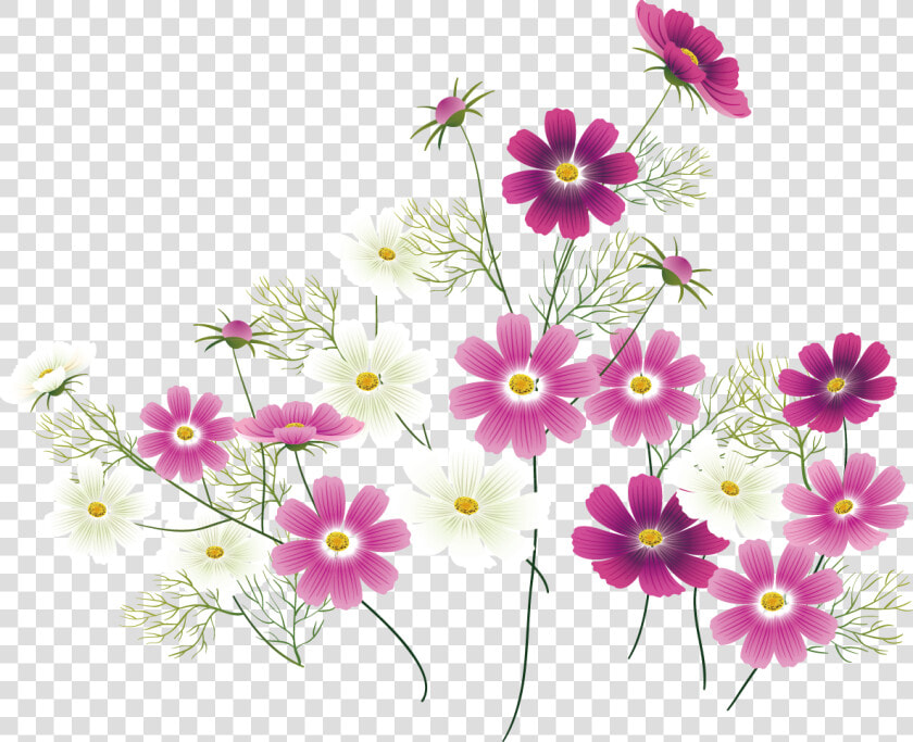 Transparent Wild Flower Clipart   Pink Wildflower Clipart  HD Png DownloadTransparent PNG